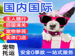 乌鲁木齐地窝堡机场快运国际宠物托运 【国
